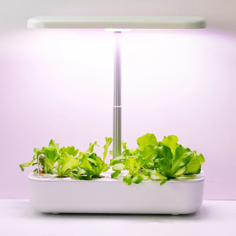 Hydroponics for Home Hydroponic Growing Systems with