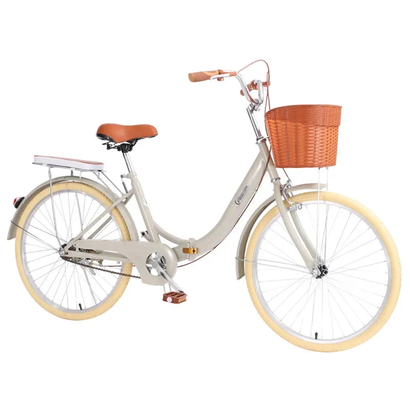 Installation-free Adult Folding Bicycle Male And Female