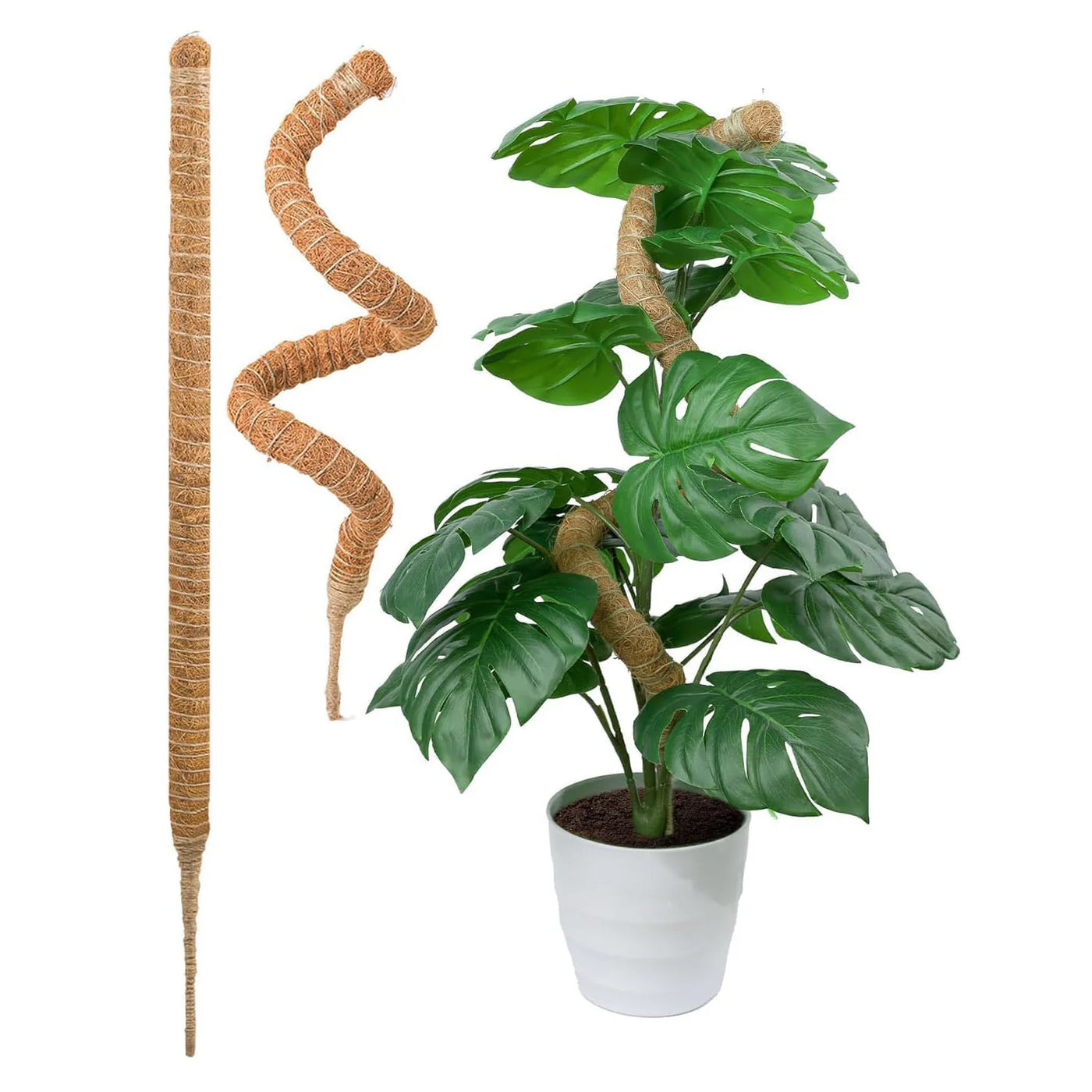 Monstera Plant Support Tall Stakes for Indoor