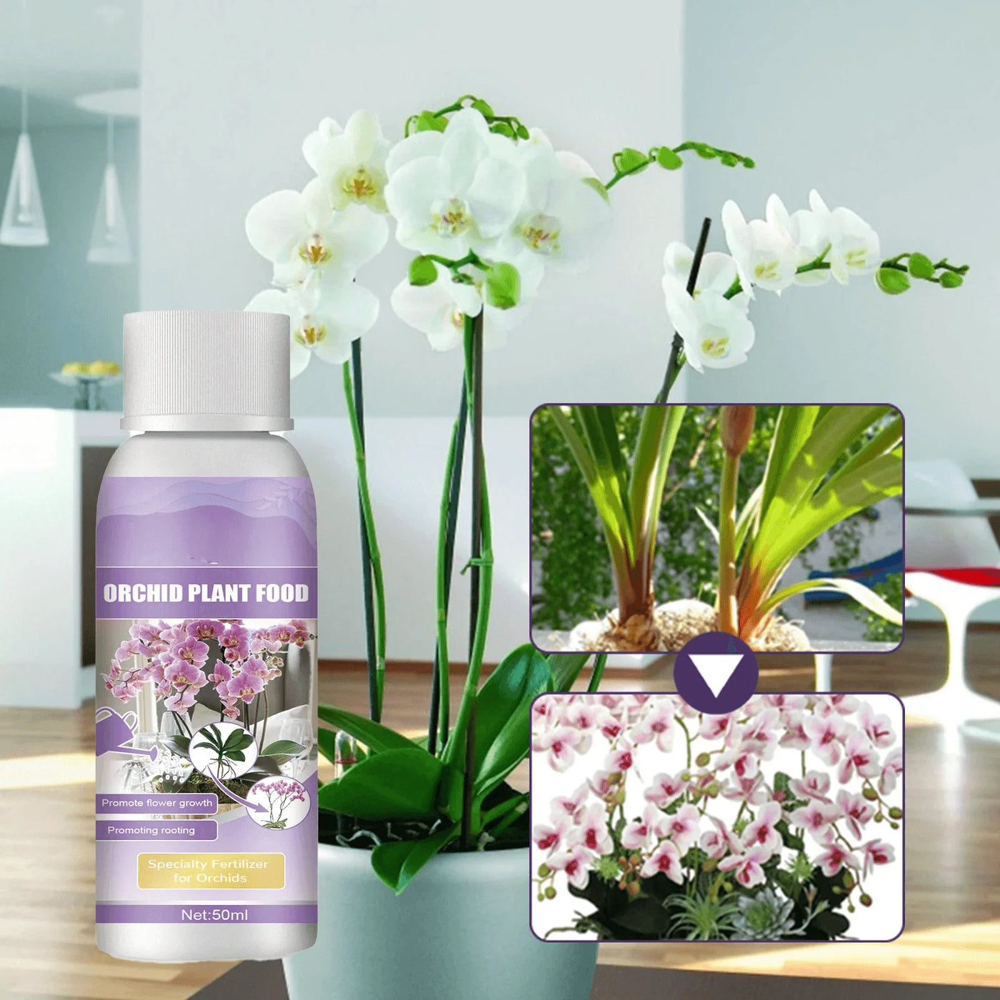 Plant Nutrition Liquid Flower Fertilizer Orchid Special