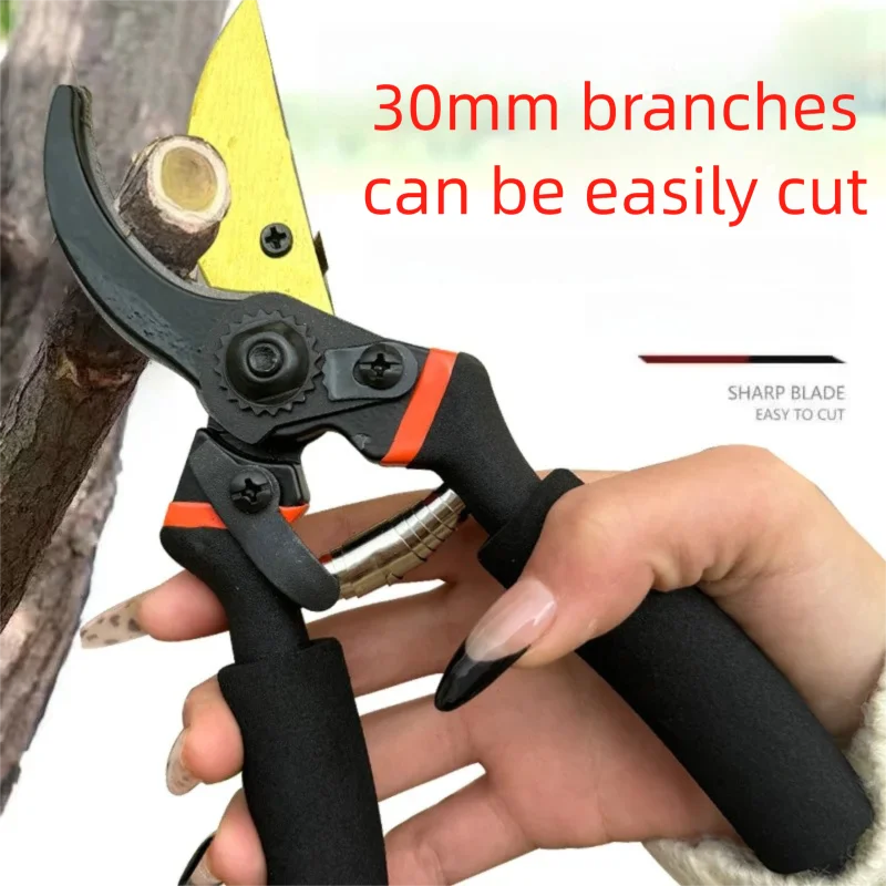 Pruning Shears for Fruit Trees and Horticultural