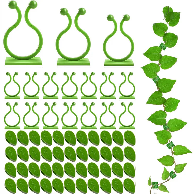 10 30 50Pcs-Home Garden Plant Climbing Wall