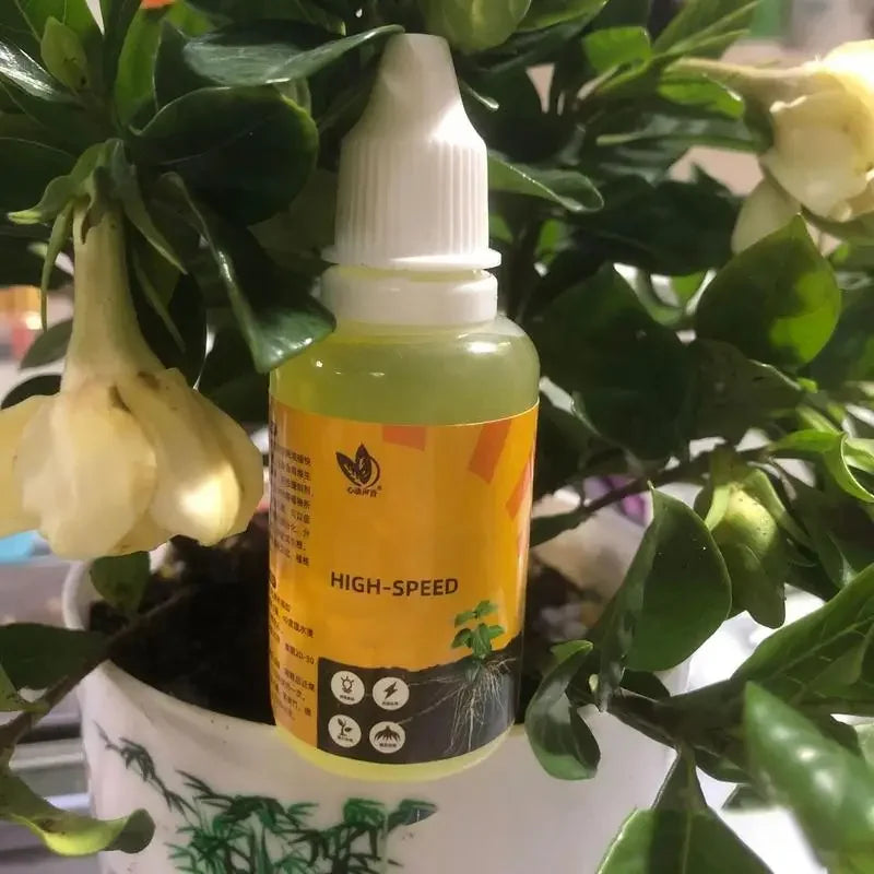 Plant Root Booster Liquid Rapid Rooting Agent