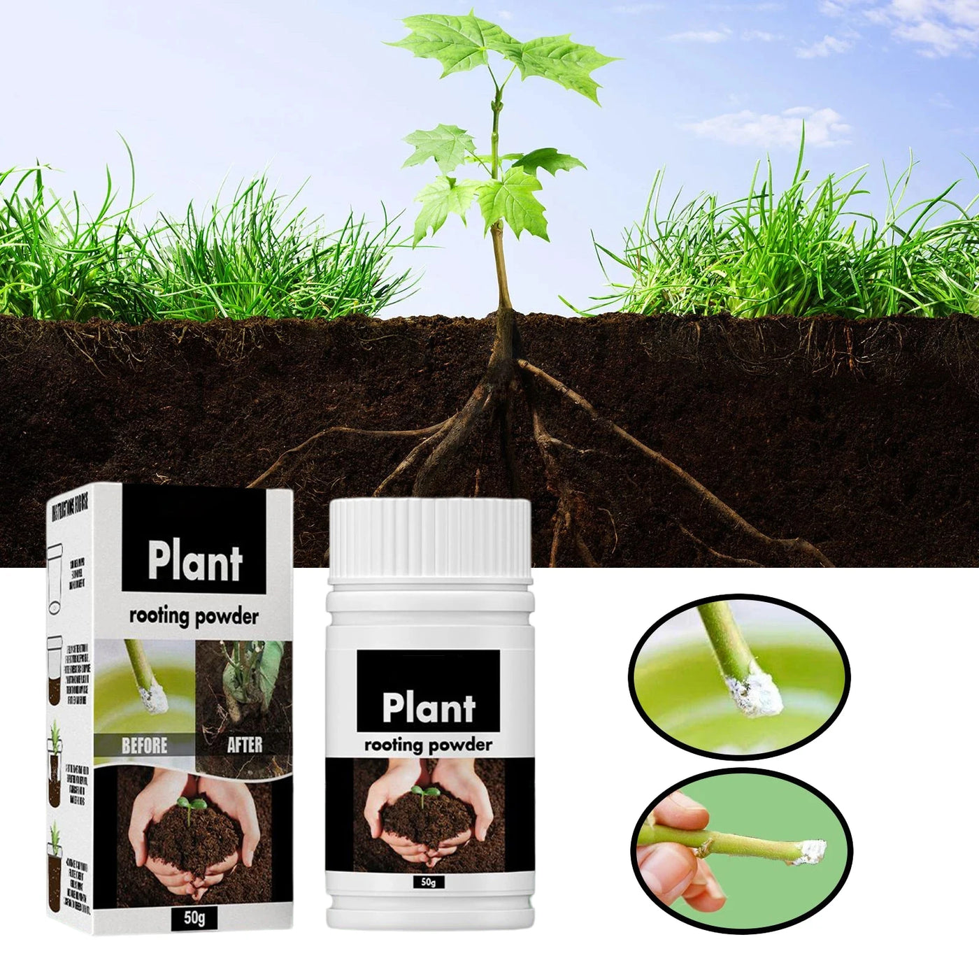 Rare Plant Rooting Powder Plant Fruit Flower