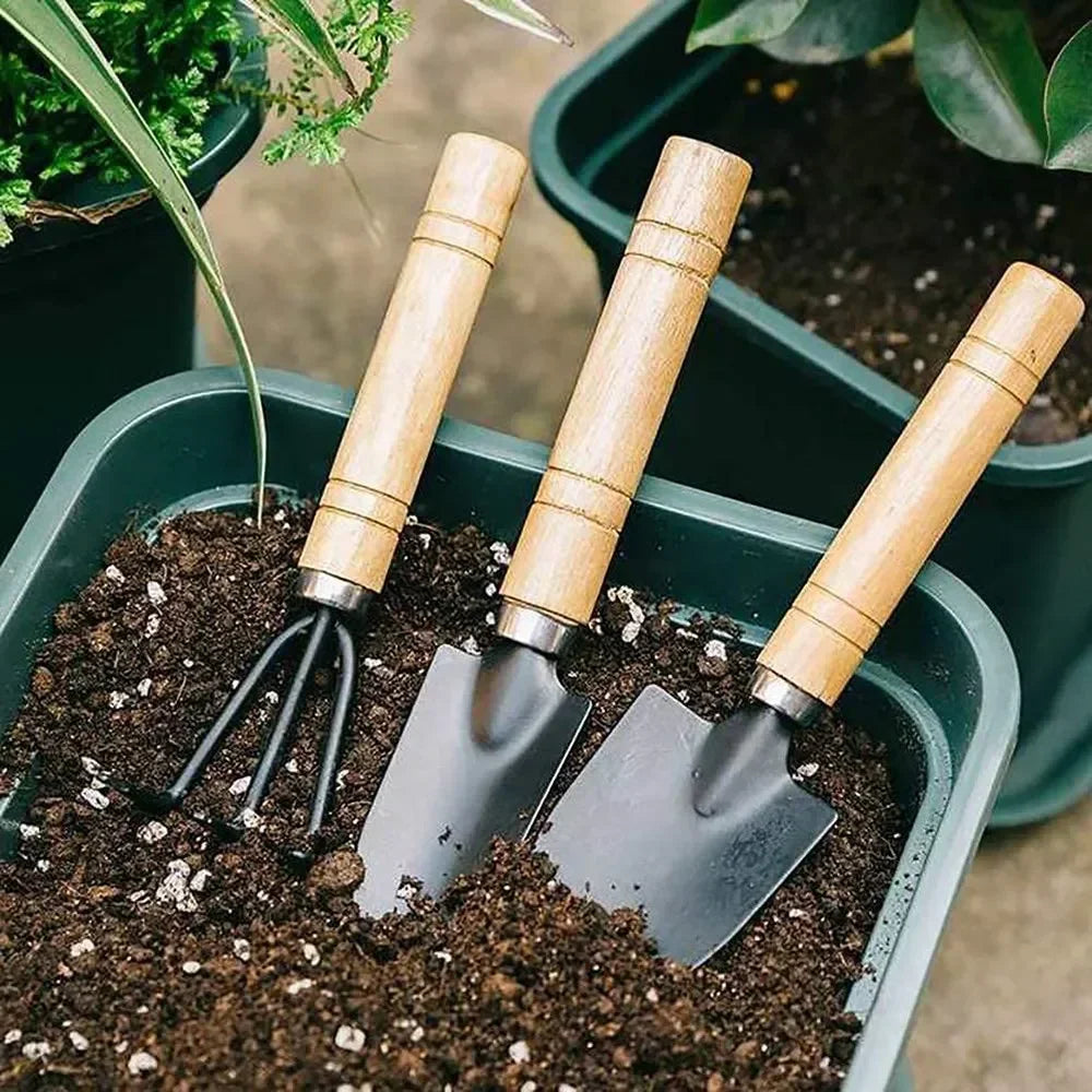 3Pcs Set Mini Garden Tool Set For