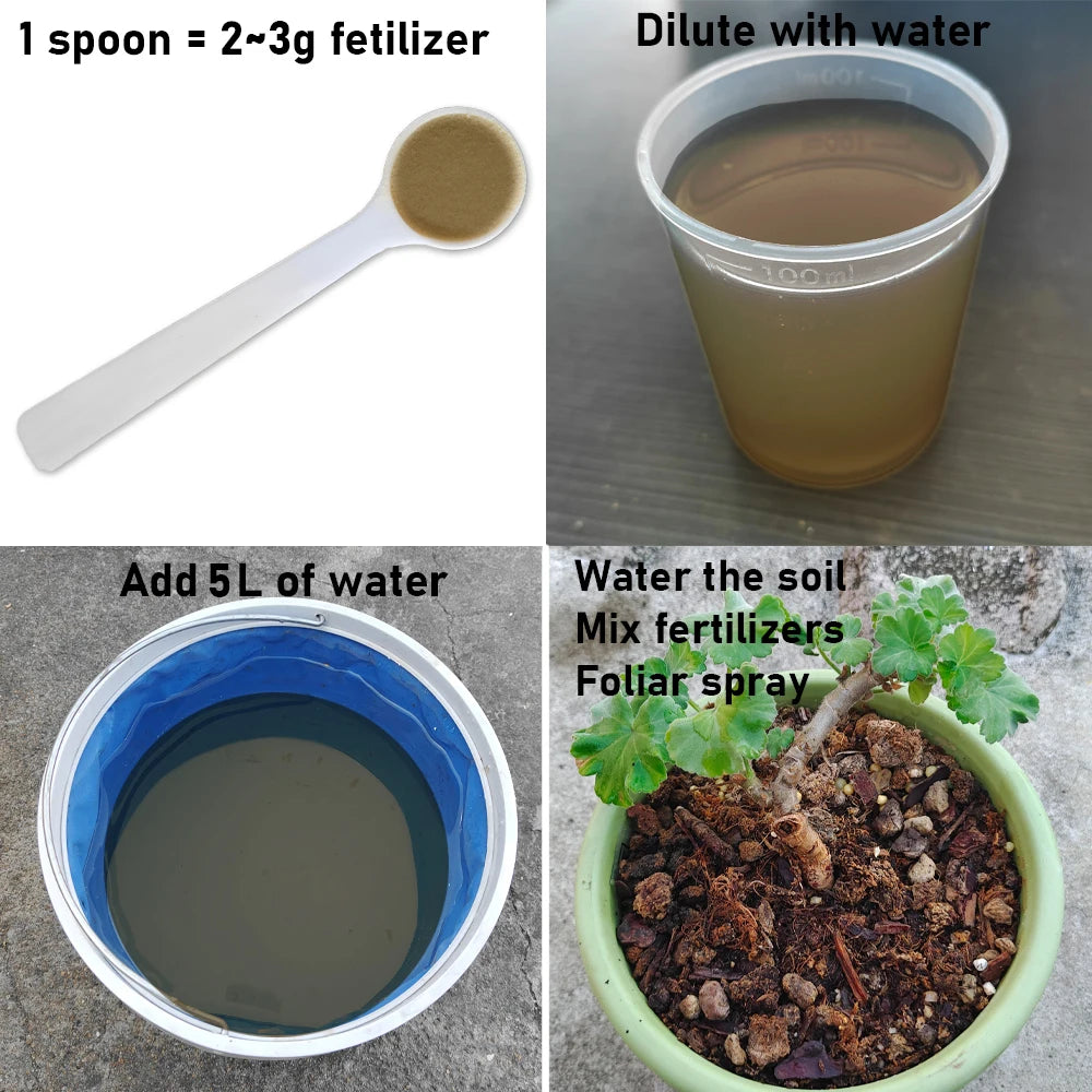 100g Bacillus Subtilis 100 Billion CFU Agricultural
