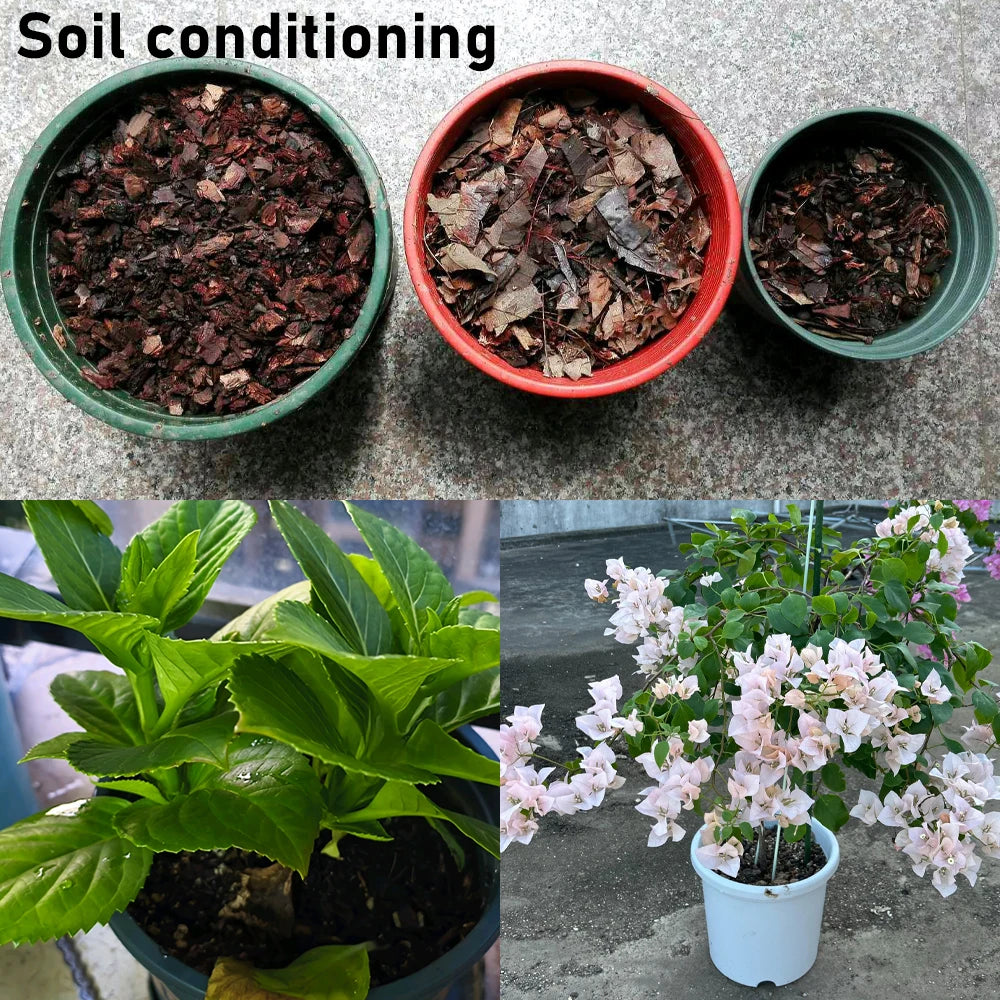 100g Bacillus Subtilis 100 Billion CFU Agricultural