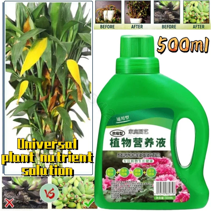Hydroponic Plant Nutrient Solution Fertilizer Bamboo Flower
