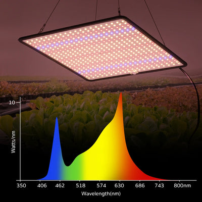 LED Grow Light Full Spectrum Phyto Lamp