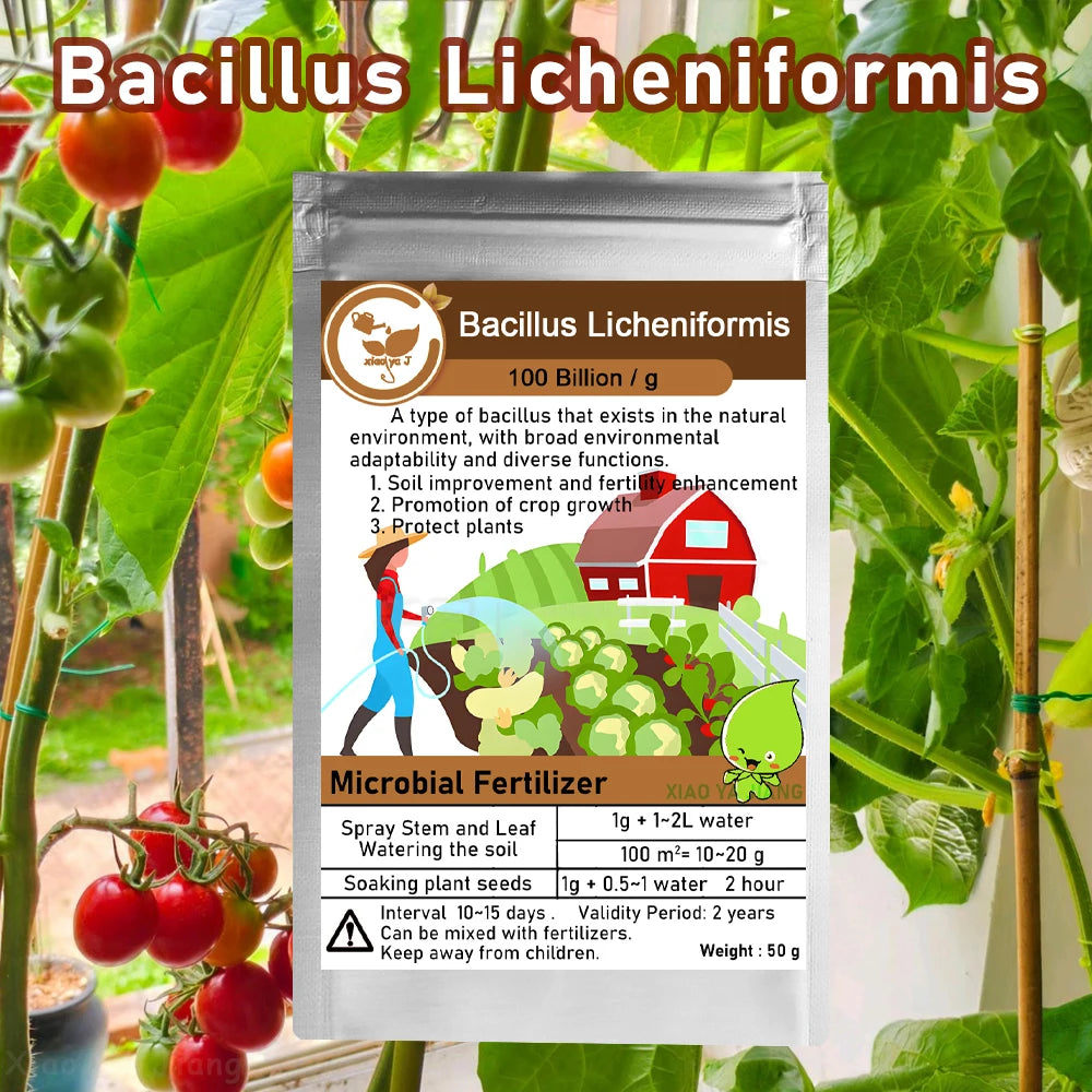 50g Bacillus Licheniformis 100 Billion Microbial Organic