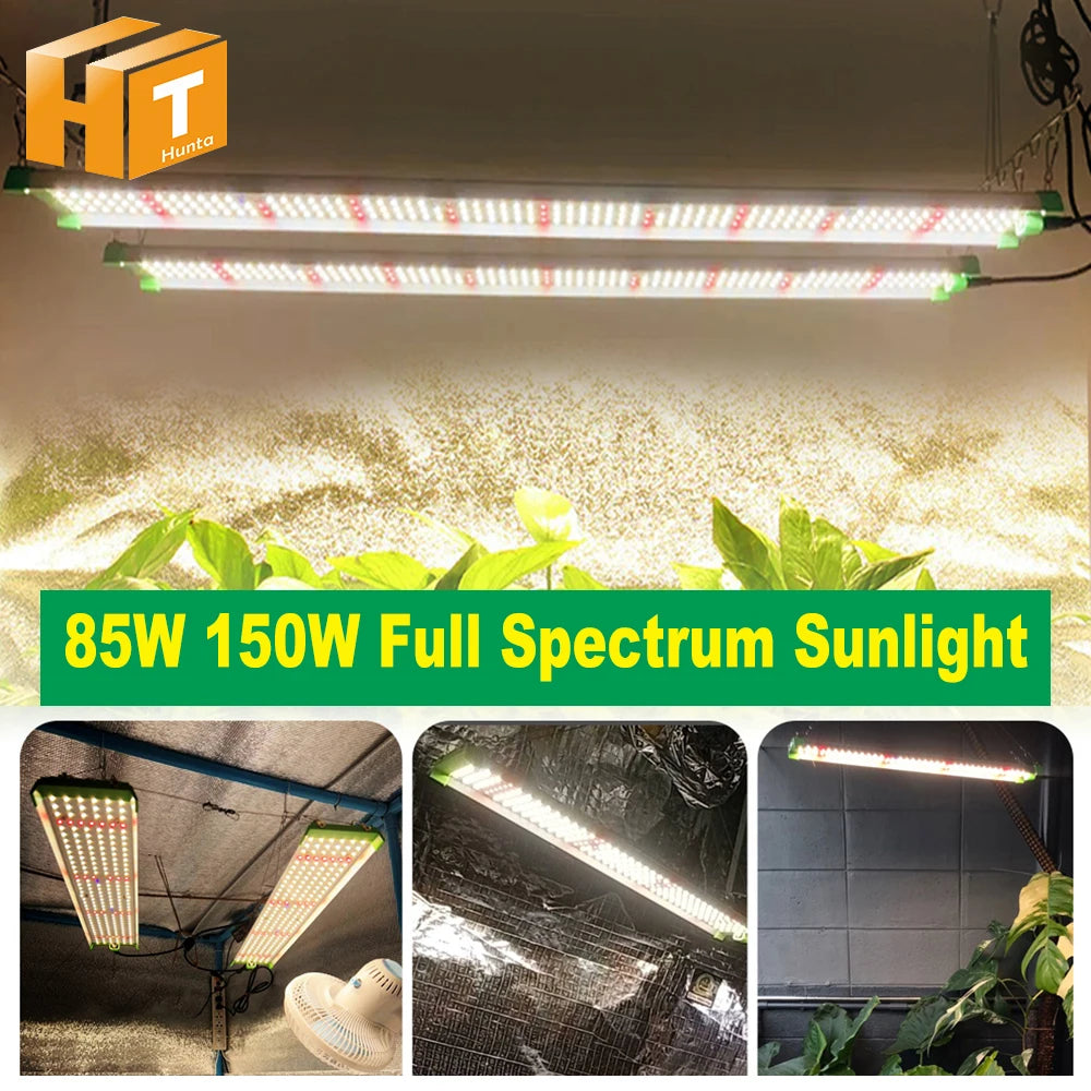 Full Spectrum LED Grow Light LM281B High