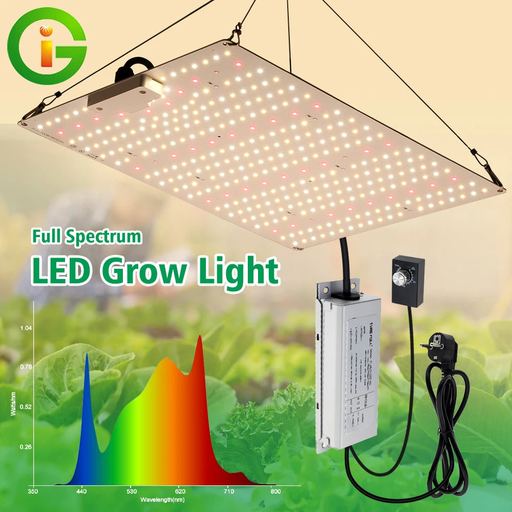 100W 200W Full Spectrum LED Grow Light
