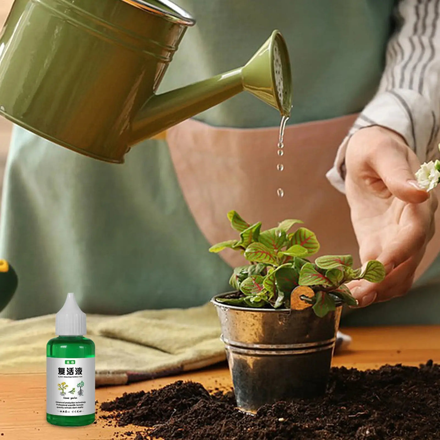 Plant Revitalizer 50ml Outdoor Soil Growing Plant